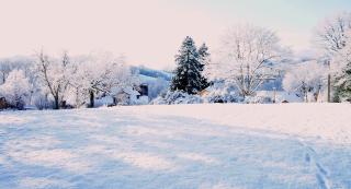 Domaine des Maréquiers chambre Mélilot - Saint-Germain-du-Teil - 2