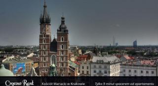 Golden Lion Guest Rooms Szewska 19 - 9