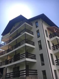 Lenz Apartment Predeal - Predeal - 1