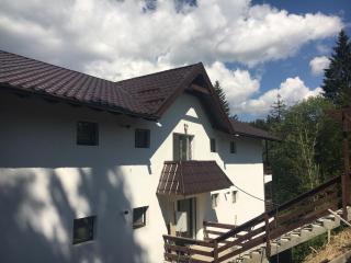 Lenz Apartment Predeal - Predeal - 2