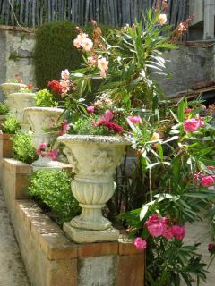 Il Viale - Massa Lubrense - 6