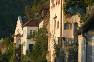 Weingut-Pension Stockingerhof - Dürnstein - 6