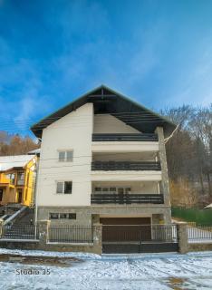 Studio 35 Busteni - Buşteni - 8
