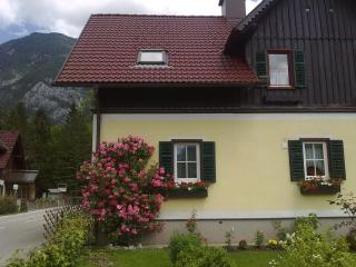 Haus Fratnik - Obertraun - 7