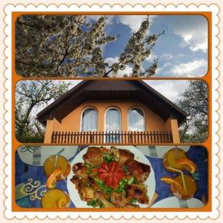 Bihari Vendégház - 5