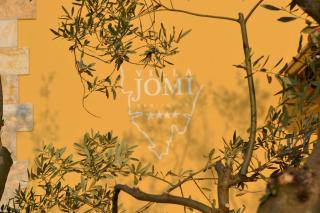 Villa Jomi - Tar - 4
