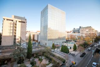 Petit Palace President Castellana - 4