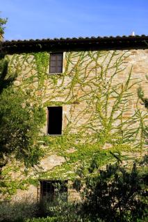 Villa Cavagnetti - Pietralunga - 4