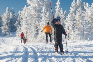 Rokuanhovin mökit - 1