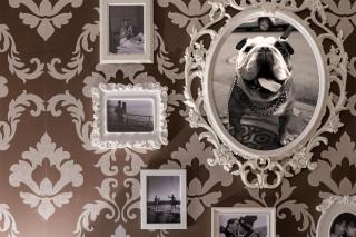 PARKING, AC, 2 Bedroom design flat in the center - 5