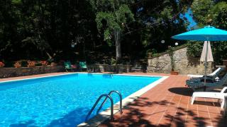 Villa La Nussa - Capolona - 0