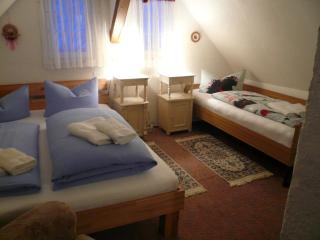Adventure House (Abenteuerferienhaus) - Rechenberg-Bienenmühle - 8
