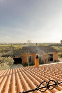 B&B Il Ramaiolo - Santa Maria a Monte - 3