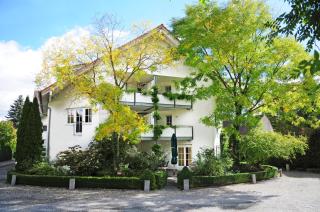 Hotel Krone Überlingen am Ried - Singen - 3