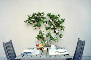 Fattoria di Rignana Winery BnB - Greve in Chianti - 3