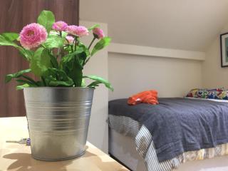 Mapesbury Hostel London - Londra - 8
