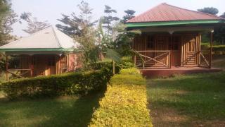 Green Home Cottages &Campsite - Kasenda - 6