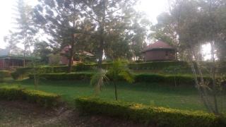 Green Home Cottages &Campsite - Kasenda - 4
