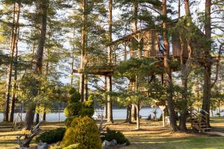 Treehouse Čiekurs - Duķuri - 0