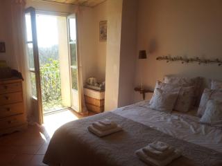 Le Petit Fabre - Montagnac - 9