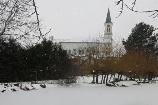 La Ferme de Sissi - Smržice - 9