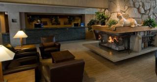 The Lodge at Snowbird - 8