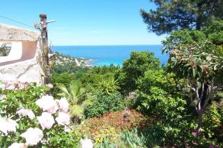 Domise - 2