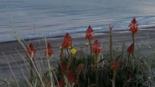 Mareas del Golfo - Las Grutas - 1