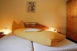 Hotel-Pension Thomé - Hinterzarten - 3