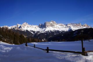 Gasthof Edelweiss - 4