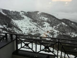 Apartment Simonida - Milmari M3 - Kopaonik - 6