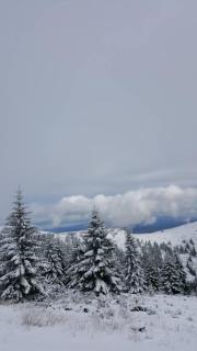 Apartment Simonida - Milmari M3 - Kopaonik - 2