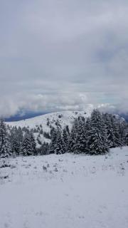 Apartment Simonida - Milmari M3 - Kopaonik - 0
