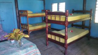 Sunrise Lagoon Homestay - Nanuya Lailai - 3