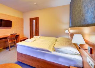 Hotel Toč - Lipova Lazne - 1