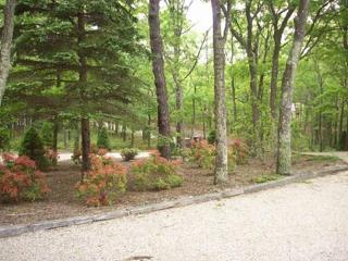 Villa Nostro Palazzo - East Hampton - 6
