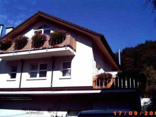 Ferienappartements Bruestle - Freiburg im Breisgau - 0