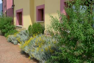 Apartamentos Rurales Antojanes - 2