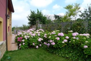 Apartamentos Rurales Antojanes - Granda - 1