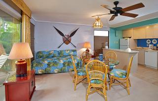 Maui Sands #6E - Kahana - 9