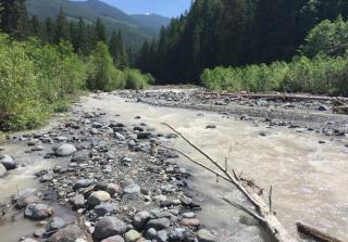 Mount Baker Rim #44 Cabin - 8