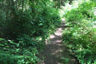 Mount Baker Rim #44 Cabin - 7