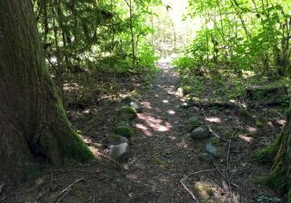 Mount Baker Rim #44 Cabin - 1
