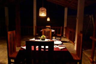 Baby Elephant Green House - 3