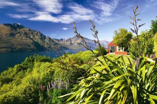 Azur Lodge - Queenstown - 8