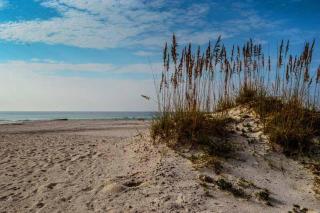 The Pelican Home - Gulf Shores - 8