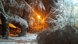 Veniki-Club - Vorzel - 2