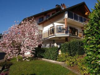 Schwarzwälder Ferienwohnungen - Seelbach - 9