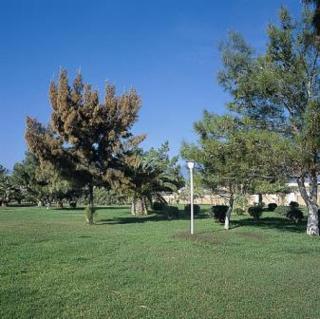 Nafsika Beach Delphi-Itea - 1