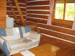 Log Cottage Himawari - 4